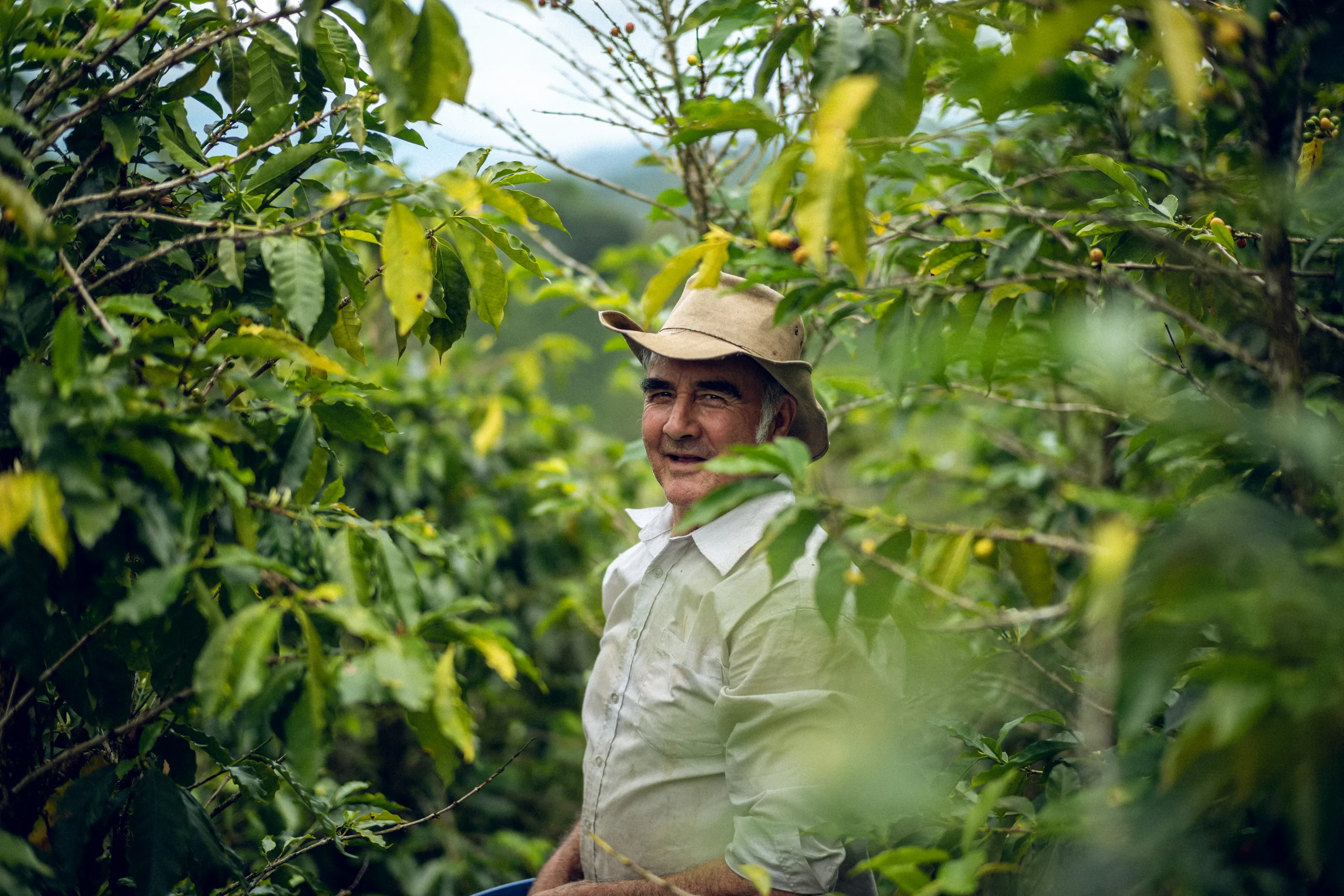Coffee farmer working in the fields