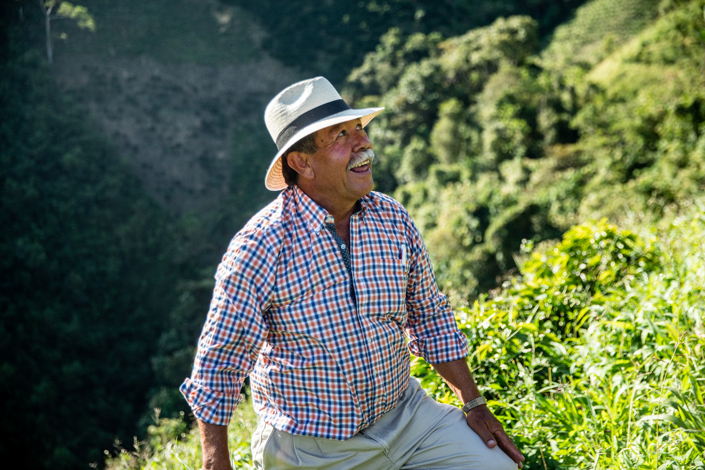 Coffee farmer with hat and plaid shirt
