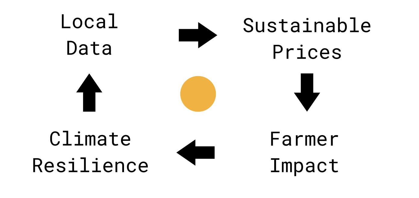 Data visualization showing the relationship between Local Data, Sustainable Prices, Farmer Impact, and Climate Resilience
